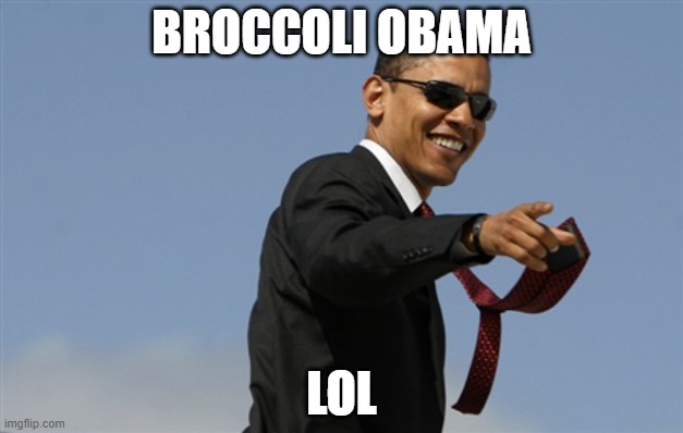 Made by my friends | BROCCOLI OBAMA; LOL | image tagged in memes | made w/ Imgflip meme maker