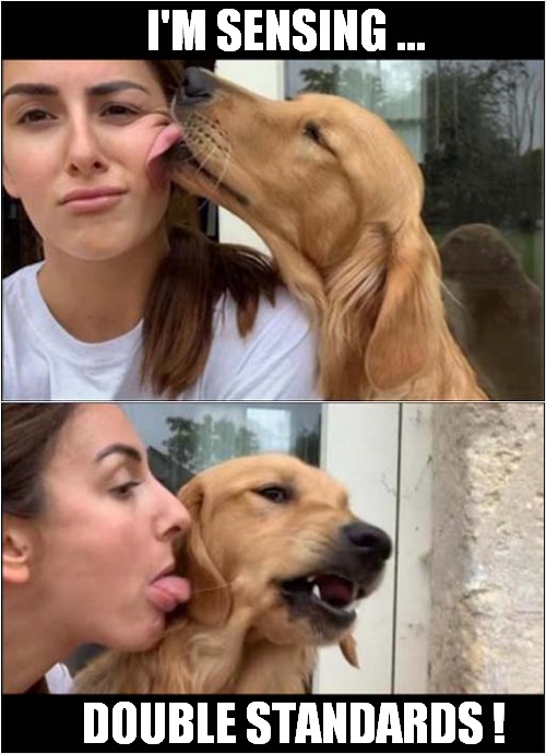 Someone Doesn't Want To Be Licked ! | I'M SENSING ... DOUBLE STANDARDS ! | image tagged in dogs,licking,double standards | made w/ Imgflip meme maker