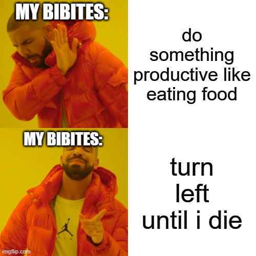 Drake Hotline Bling Meme | MY BIBITES:; do something productive like eating food; MY BIBITES:; turn left until i die | image tagged in memes,drake hotline bling | made w/ Imgflip meme maker