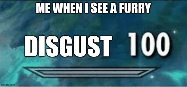 Skyrim 100 Blank | DISGUST; ME WHEN I SEE A FURRY | image tagged in skyrim 100 blank | made w/ Imgflip meme maker