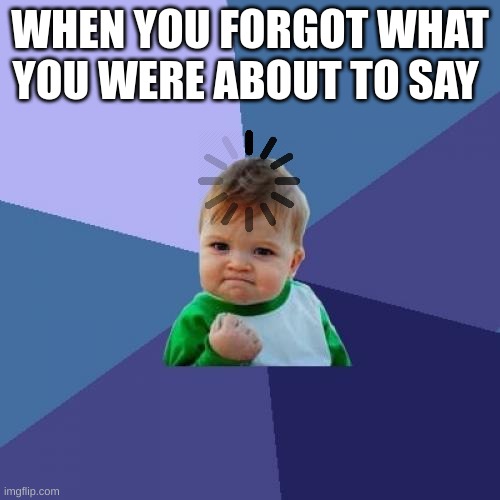 My weekend, Meme #14 | WHEN YOU FORGOT WHAT YOU WERE ABOUT TO SAY | image tagged in memes,success kid | made w/ Imgflip meme maker