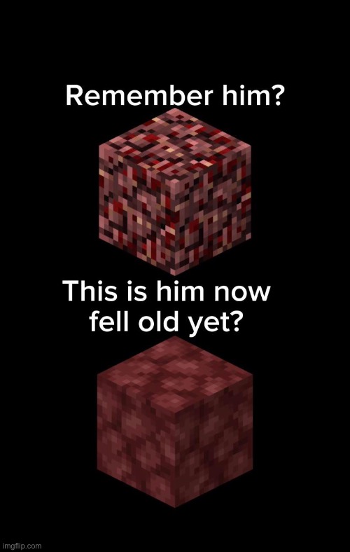 image tagged in minecraft,memes,funny | made w/ Imgflip meme maker