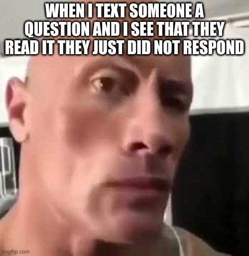 The Rock Eyebrows | WHEN I TEXT SOMEONE A QUESTION AND I SEE THAT THEY READ IT THEY JUST DID NOT RESPOND | image tagged in the rock eyebrows | made w/ Imgflip meme maker