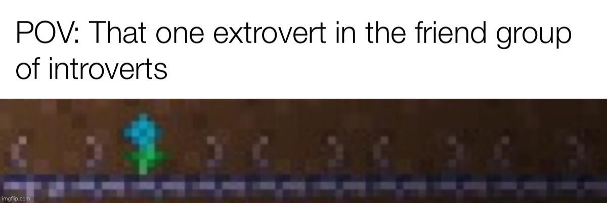 image tagged in memes | made w/ Imgflip meme maker