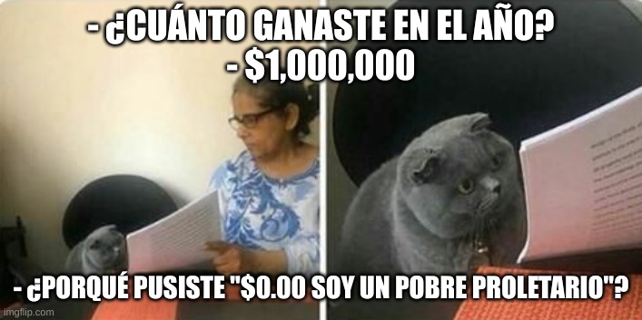 Wrong answer cat | - ¿CUÁNTO GANASTE EN EL AÑO?
- $1,000,000; - ¿PORQUÉ PUSISTE "$0.00 SOY UN POBRE PROLETARIO"? | image tagged in wrong answer cat | made w/ Imgflip meme maker