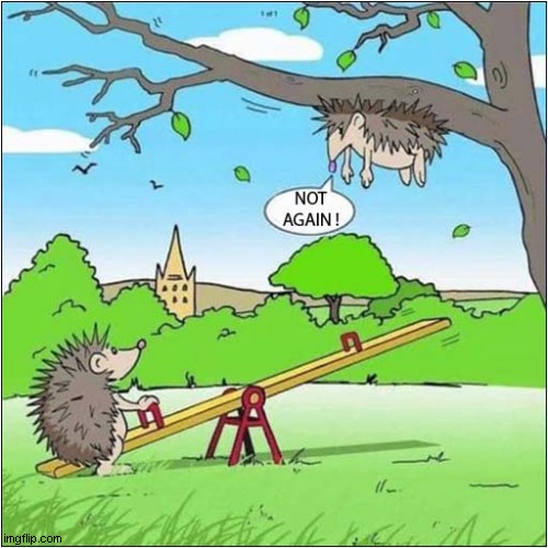 Hedgehogs At Play ! | image tagged in hedgehogs,seesaw,not again | made w/ Imgflip meme maker