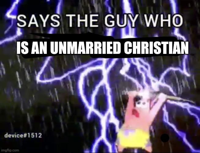 Says the guy who has a furry pfp | IS AN UNMARRIED CHRISTIAN | image tagged in says the guy who has a furry pfp | made w/ Imgflip meme maker