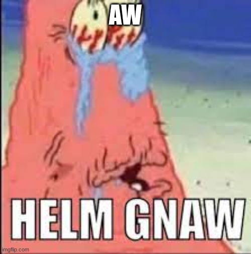 HELM GNAW | AW | image tagged in helm gnaw | made w/ Imgflip meme maker