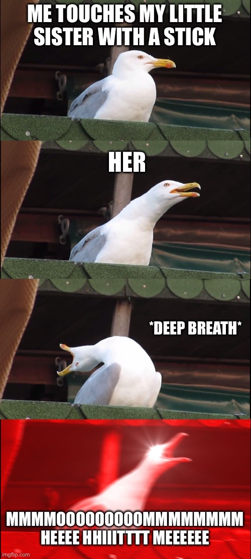 Inhaling Seagull Meme | ME TOUCHES MY LITTLE SISTER WITH A STICK; HER; *DEEP BREATH*; MMMMOOOOOOOOOMMMMMMMM HEEEE HHIIITTTT MEEEEEE | image tagged in memes,inhaling seagull | made w/ Imgflip meme maker