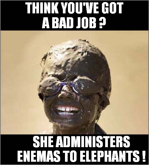 She Always Dreamed Of Working With Animals | THINK YOU'VE GOT
A BAD JOB ? SHE ADMINISTERS ENEMAS TO ELEPHANTS ! | image tagged in animals,enemas,dark humour | made w/ Imgflip meme maker