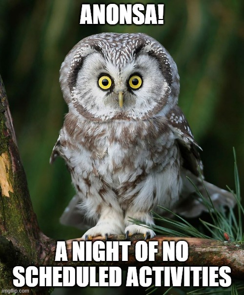 Owl | ANONSA! A NIGHT OF NO SCHEDULED ACTIVITIES | image tagged in owl | made w/ Imgflip meme maker