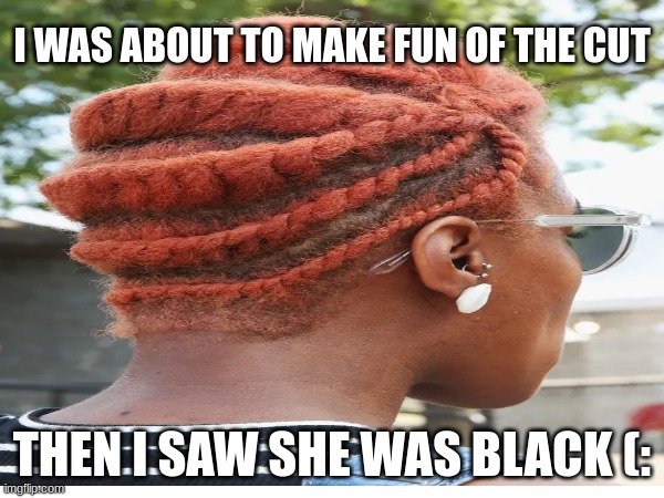 bruh | I WAS ABOUT TO MAKE FUN OF THE CUT; THEN I SAW SHE WAS BLACK (: | image tagged in bruh | made w/ Imgflip meme maker