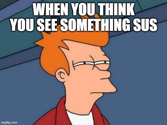 sus | WHEN YOU THINK YOU SEE SOMETHING SUS | image tagged in memes,futurama fry | made w/ Imgflip meme maker