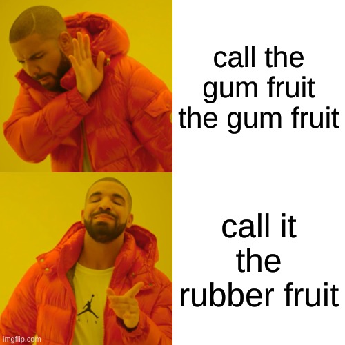 blox fruits | call the gum fruit the gum fruit; call it the rubber fruit | image tagged in memes,drake hotline bling | made w/ Imgflip meme maker
