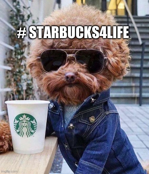 Starbucks | # STARBUCKS4LIFE | made w/ Imgflip meme maker