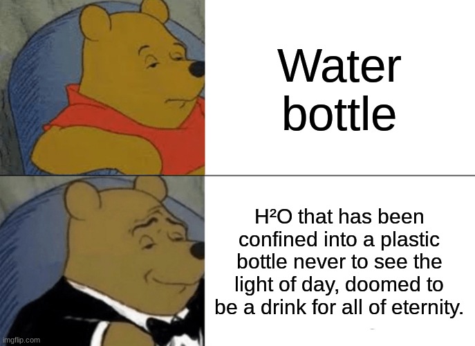 H²O that has been confined into a plastic bottle | Water bottle; H²O that has been confined into a plastic bottle never to see the light of day, doomed to be a drink for all of eternity. | image tagged in memes,tuxedo winnie the pooh | made w/ Imgflip meme maker