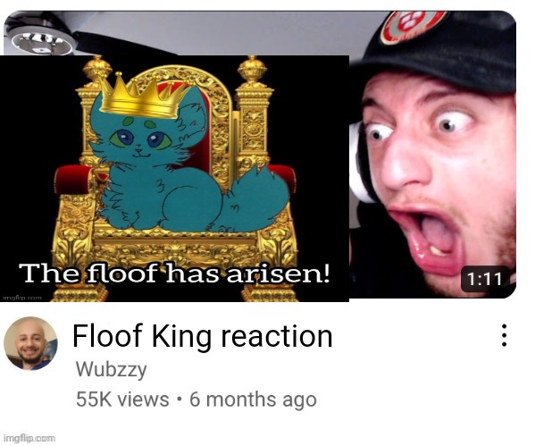 real | Floof King reaction | image tagged in retrothefloof | made w/ Imgflip meme maker