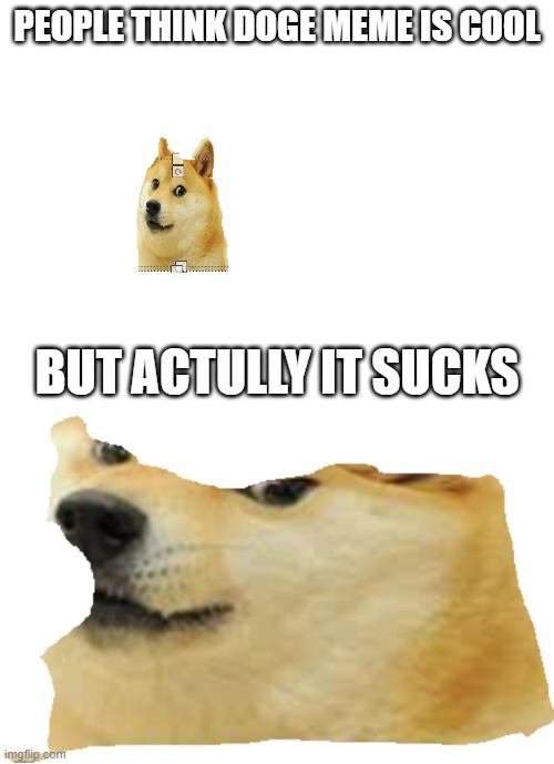 doge suks. | PEOPLE THINK DOGE MEME IS COOL; BUT ACTULLY IT SUCKS | image tagged in doge 2 | made w/ Imgflip meme maker
