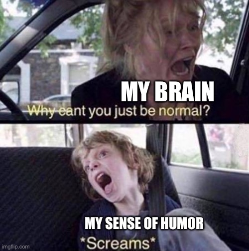 Why Can't You Just Be Normal | MY BRAIN; MY SENSE OF HUMOR | image tagged in why can't you just be normal | made w/ Imgflip meme maker