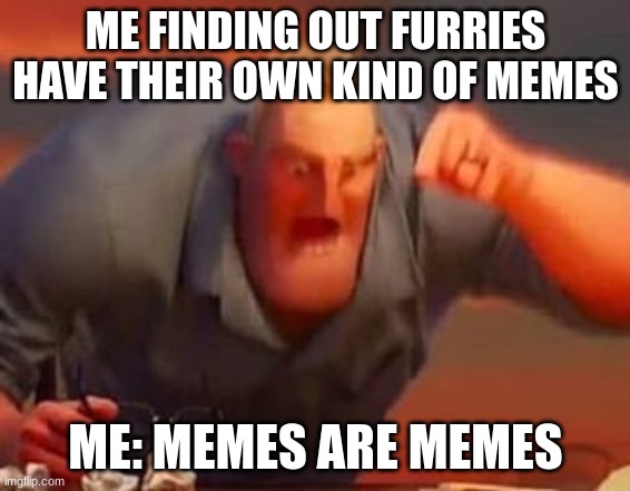 Mr incredible mad | ME FINDING OUT FURRIES HAVE THEIR OWN KIND OF MEMES; ME: MEMES ARE MEMES | image tagged in mr incredible mad | made w/ Imgflip meme maker