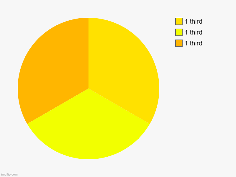 What did you expect | 1 third, 1 third, 1 third | image tagged in charts,pie charts | made w/ Imgflip chart maker