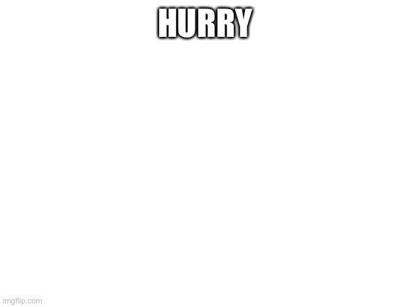 847 | HURRY | image tagged in blank white template | made w/ Imgflip meme maker