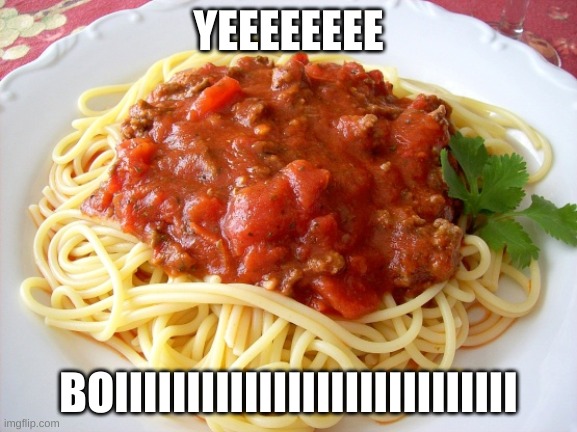 Spaghetti  | YEEEEEEEE BOIIIIIIIIIIIIIIIIIIIIIIIIIIII | image tagged in spaghetti | made w/ Imgflip meme maker