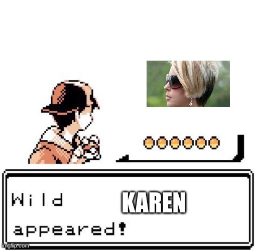 Blank Wild Pokemon Appears | KAREN | image tagged in blank wild pokemon appears | made w/ Imgflip meme maker