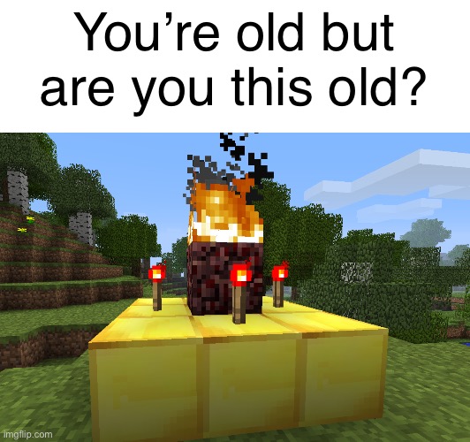 Those who know | You’re old but are you this old? | image tagged in minecraft,herobrine | made w/ Imgflip meme maker