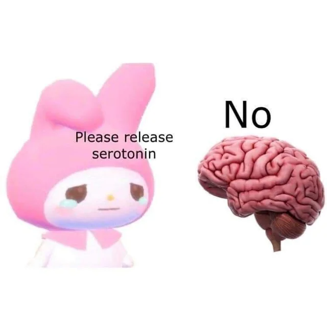 please release serotonin Blank Meme Template