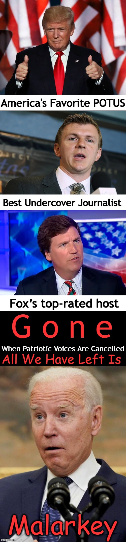 Who Will Be NEXT? | America's Favorite POTUS; Best Undercover Journalist; Fox’s top-rated host; G o n e; When Patriotic Voices Are Cancelled; All We Have Left Is; Malarkey | image tagged in politics,donald trump,joe biden,tucker carlson,james o'keefe,political humor | made w/ Imgflip meme maker
