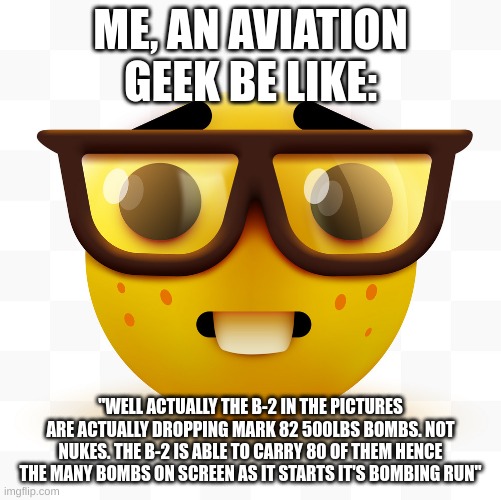 Nerd emoji | ME, AN AVIATION GEEK BE LIKE: "WELL ACTUALLY THE B-2 IN THE PICTURES ARE ACTUALLY DROPPING MARK 82 500LBS BOMBS. NOT NUKES. THE B-2 IS ABLE  | image tagged in nerd emoji | made w/ Imgflip meme maker