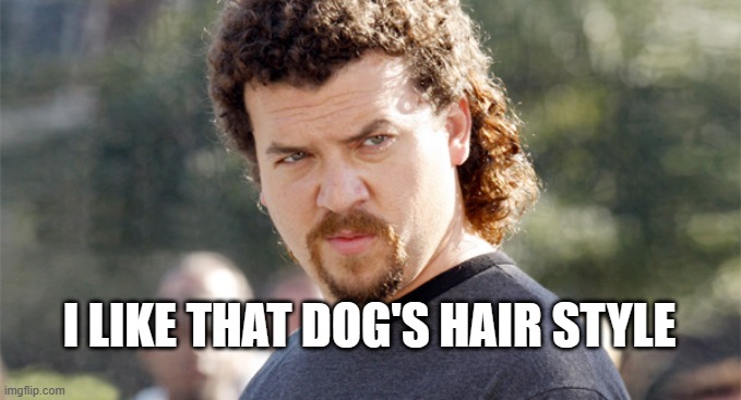 Kenny Powers | I LIKE THAT DOG'S HAIR STYLE | image tagged in kenny powers | made w/ Imgflip meme maker