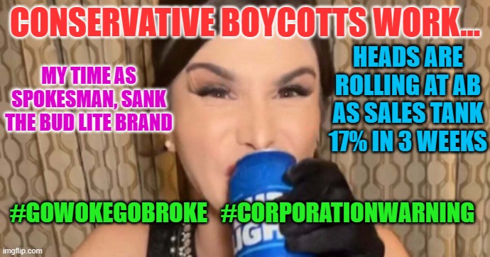 bud lite | CONSERVATIVE BOYCOTTS WORK... HEADS ARE ROLLING AT AB AS SALES TANK 17% IN 3 WEEKS; MY TIME AS SPOKESMAN, SANK THE BUD LITE BRAND; #GOWOKEGOBROKE   #CORPORATIONWARNING | image tagged in bud lite | made w/ Imgflip meme maker