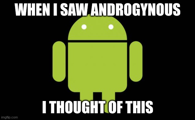 Android | WHEN I SAW ANDROGYNOUS I THOUGHT OF THIS | image tagged in android | made w/ Imgflip meme maker