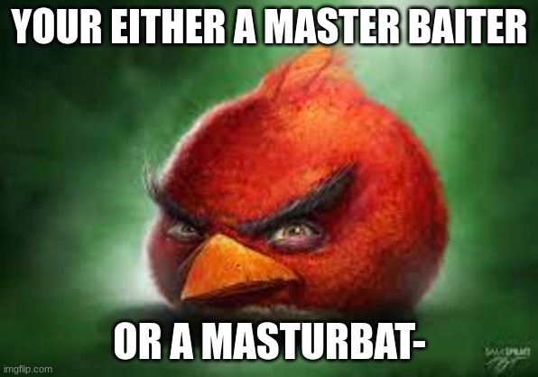 Realistic Red Angry Birds | YOUR EITHER A MASTER BAITER; OR A MASTURBAT- | image tagged in realistic red angry birds | made w/ Imgflip meme maker