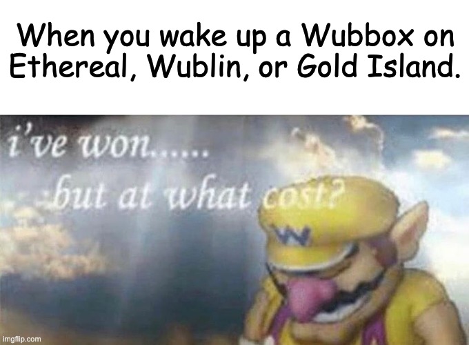 wubbox | When you wake up a Wubbox on Ethereal, Wublin, or Gold Island. | image tagged in ive won but at what cost,memes | made w/ Imgflip meme maker