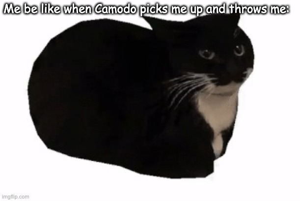 maxwell the cat | Me be like when Camodo picks me up and throws me: | image tagged in maxwell the cat | made w/ Imgflip meme maker