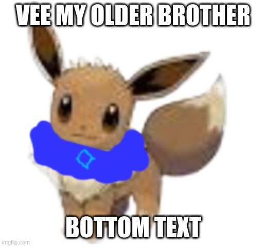 Vee | VEE MY OLDER BROTHER; BOTTOM TEXT | image tagged in vee | made w/ Imgflip meme maker