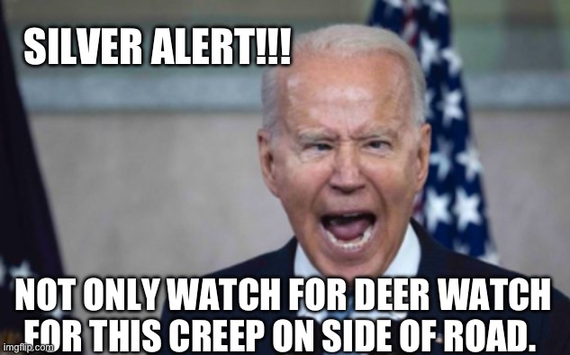 Biden Scream | SILVER ALERT!!! NOT ONLY WATCH FOR DEER WATCH FOR THIS CREEP ON SIDE OF ROAD. | image tagged in biden scream | made w/ Imgflip meme maker