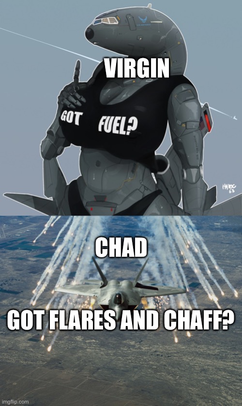 VIRGIN; CHAD; GOT FLARES AND CHAFF? | image tagged in fighter jet,virgin vs chad,memes,why are you reading the tags | made w/ Imgflip meme maker