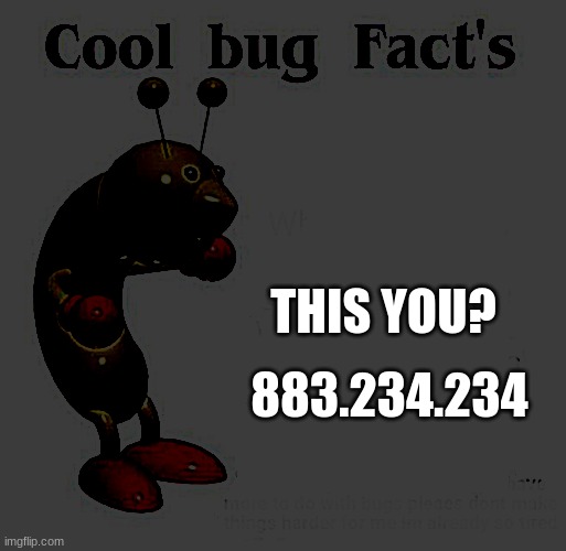 Cool Bug Facts | THIS YOU? 883.234.234 | image tagged in cool bug facts | made w/ Imgflip meme maker