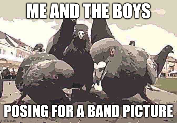 Pigeon band | ME AND THE BOYS; POSING FOR A BAND PICTURE | image tagged in memes,trending,funny,pigeon | made w/ Imgflip meme maker