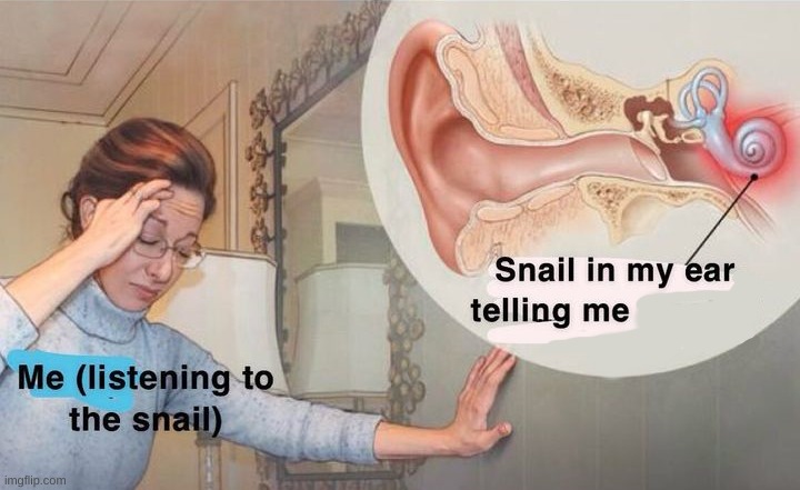 Snail in my ear | image tagged in snail in my ear | made w/ Imgflip meme maker