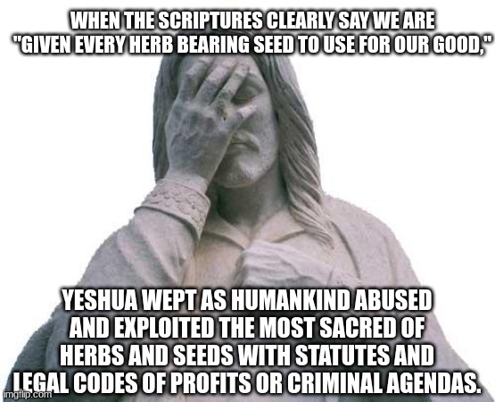 Messiah is sacred and plants are friends | WHEN THE SCRIPTURES CLEARLY SAY WE ARE ''GIVEN EVERY HERB BEARING SEED TO USE FOR OUR GOOD,"; YESHUA WEPT AS HUMANKIND ABUSED AND EXPLOITED THE MOST SACRED OF HERBS AND SEEDS WITH STATUTES AND LEGAL CODES OF PROFITS OR CRIMINAL AGENDAS. | image tagged in jesus facepalm,always true,weed,good,war on drugs,victory | made w/ Imgflip meme maker