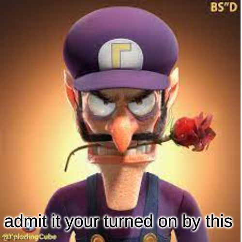 waluigi | admit it your turned on by this | image tagged in funny | made w/ Imgflip meme maker