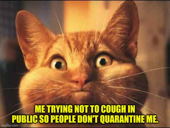 ME TRYING NOT TO COUGH IN PUBLIC SO PEOPLE DON'T QUARANTINE ME. | image tagged in cats | made w/ Imgflip meme maker