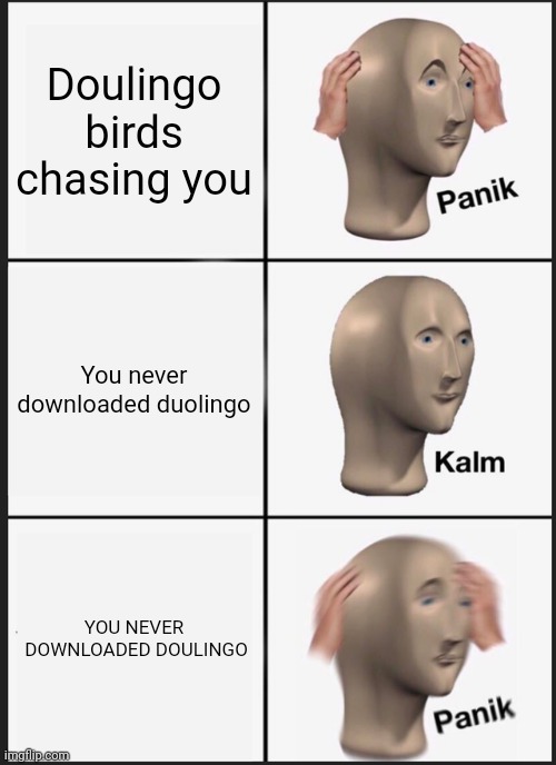 Panik Kalm Panik Meme | Doulingo birds chasing you; You never downloaded duolingo; YOU NEVER  DOWNLOADED DOULINGO | image tagged in memes,panik kalm panik | made w/ Imgflip meme maker