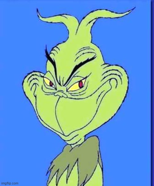 Good Grinch | image tagged in good grinch | made w/ Imgflip meme maker