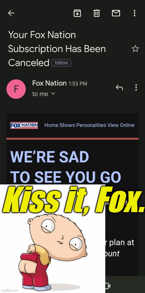 They got rid of their BEST asset. | Kiss it, Fox. | image tagged in liberals,democrats,lgbtq,blm,antifa,fools | made w/ Imgflip meme maker